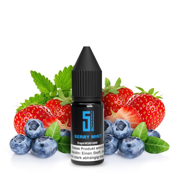 5 EL Berry Mint Nikotinsalz Liquid 10 ml