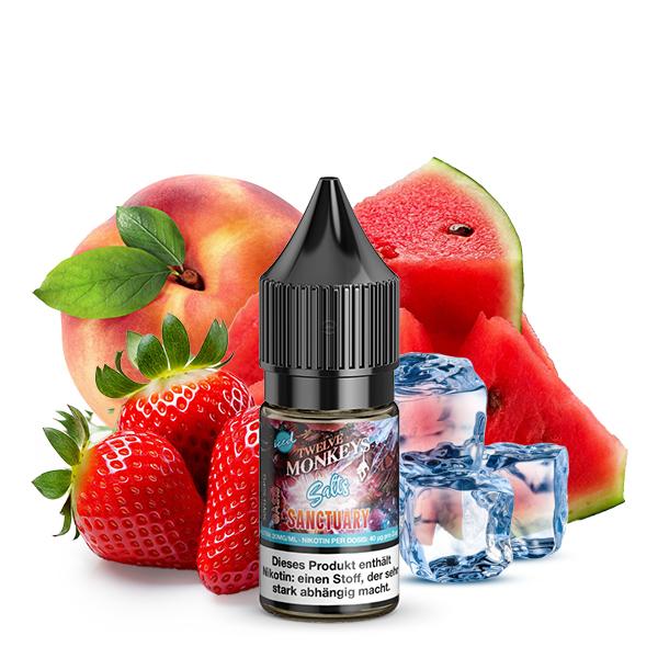 TWELVE MONKEYS Sanctuary Iced Nikotinsalz Liquid 10 ml