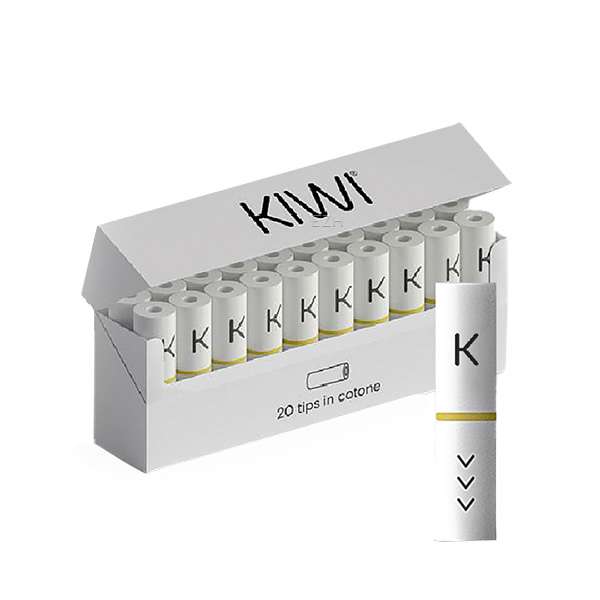 elfbar elfa master akku 20x KIWI Pod Kit Filter
