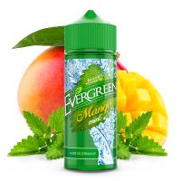 EVERGREEN Mango Mint Aroma 8ml